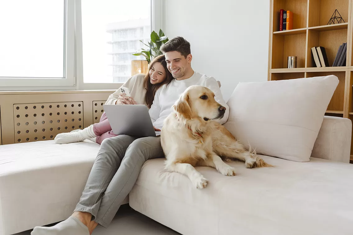 couple on couch with dog reviewing finances